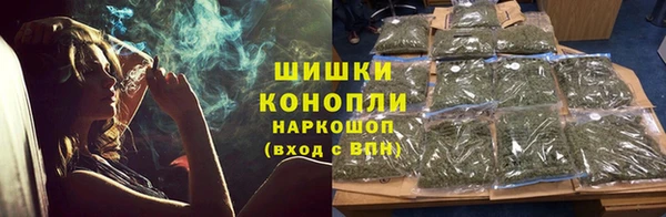 прущая мука Вяземский