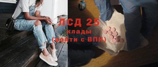 прущая мука Вяземский